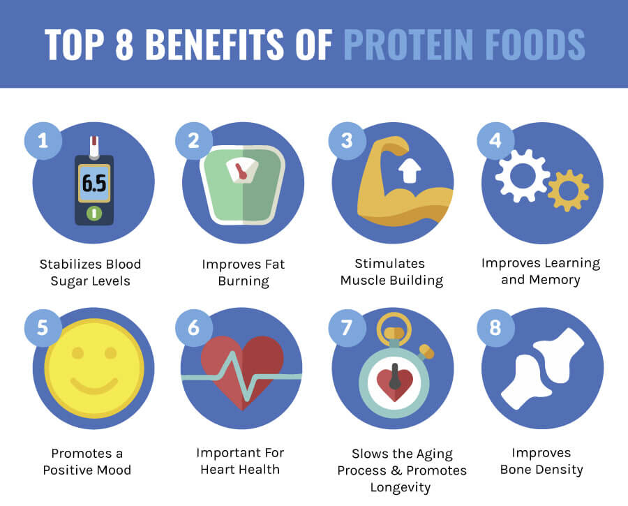 benefits of protein foods